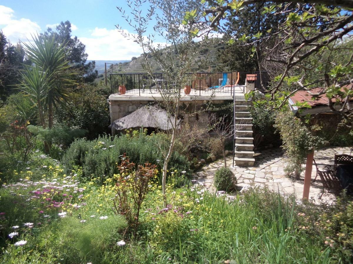 Oleander Stone House Ferienhaus *